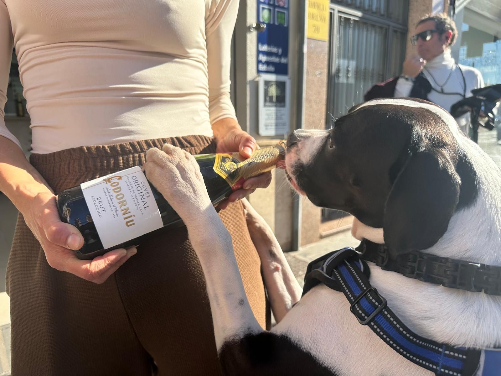 Imágenes de la celebración de los premios de la Lotería de Navidad en Huelva