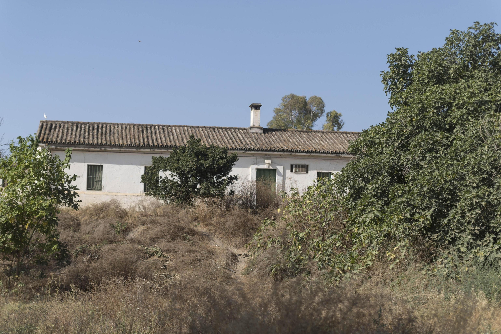 El cortijo de Gambogaz, en imágenes