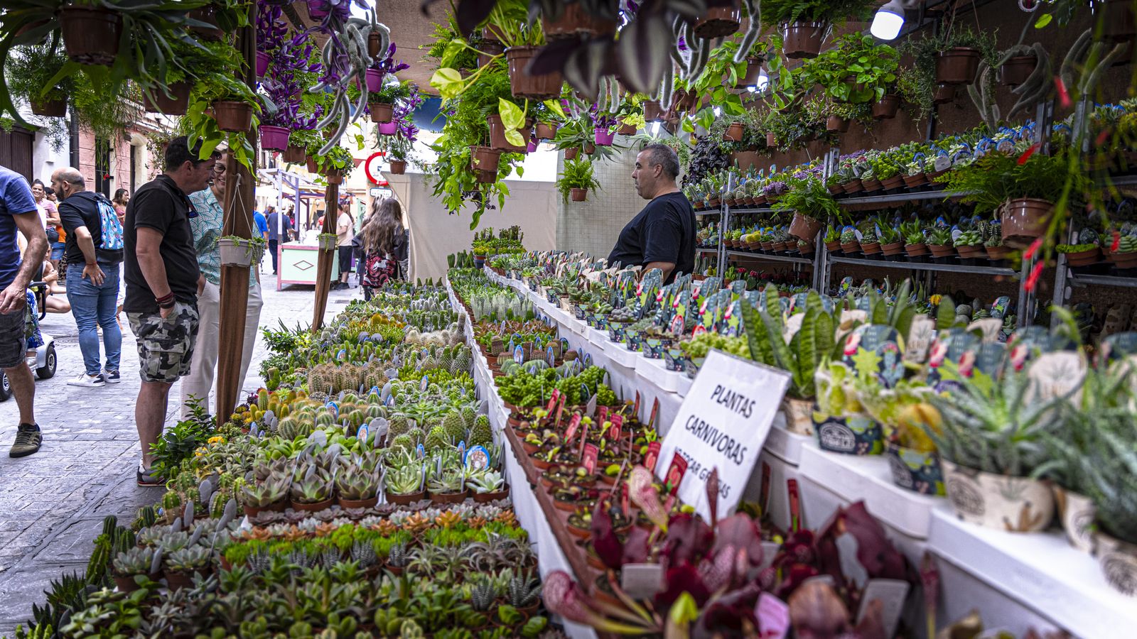 Las imágenes del Mercado Andalusi 2024 en el barrio de El Pópulo de Cádiz