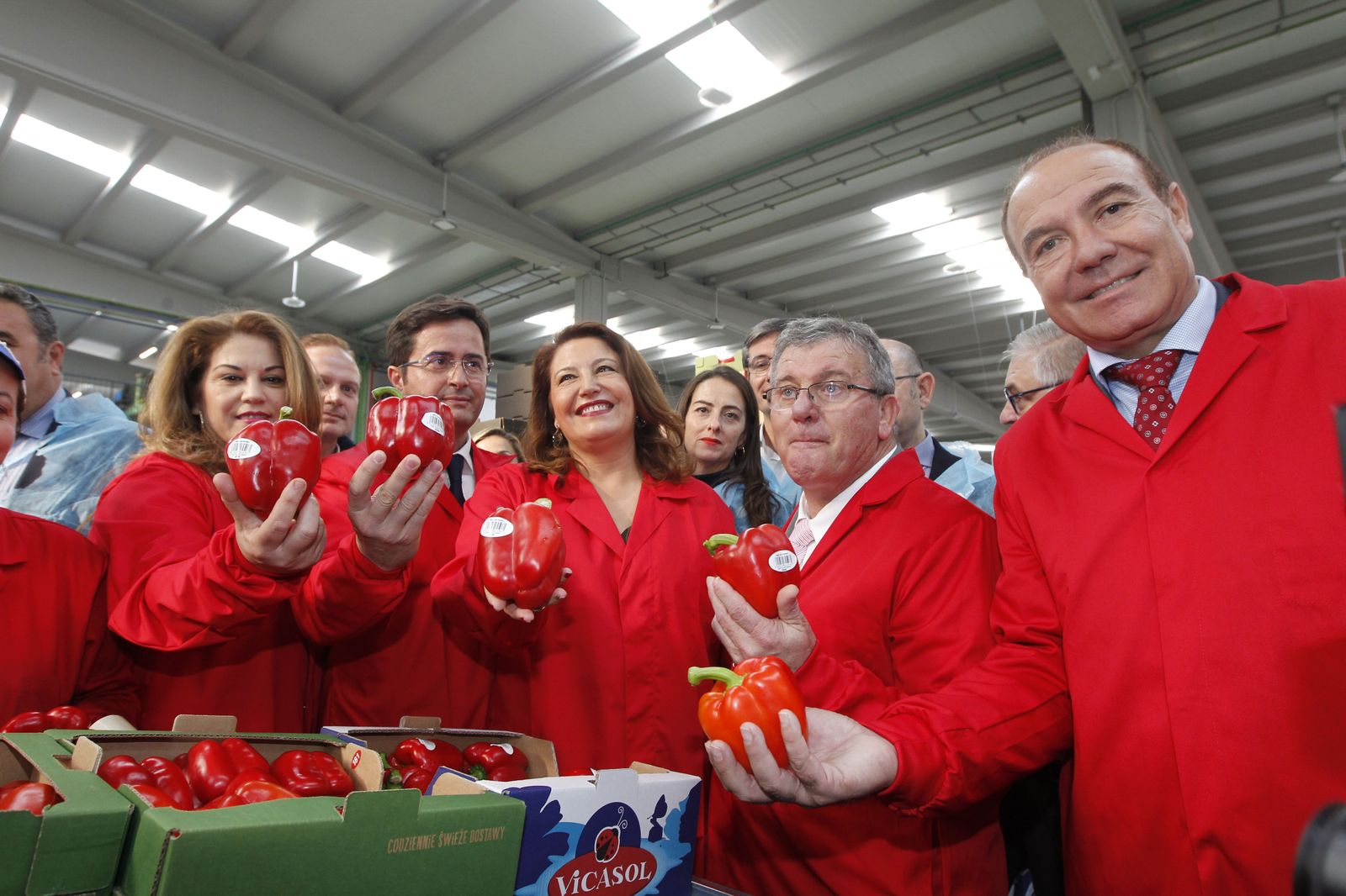 Fotogalería nuevas instalaciones Vicasol 3 en El Ejido