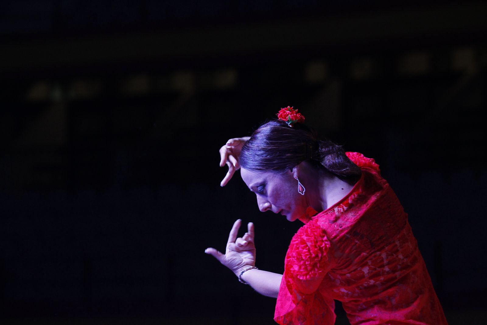 Fotogalería presentación carteles Feria Taurina Roquetas de Mar 2019