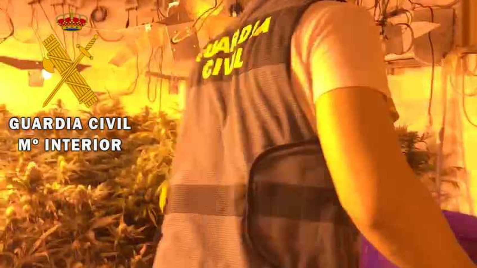 Interior de una vivienda donde fue localizada una plantación de marihuana suministrada con enganches ilegales de luz