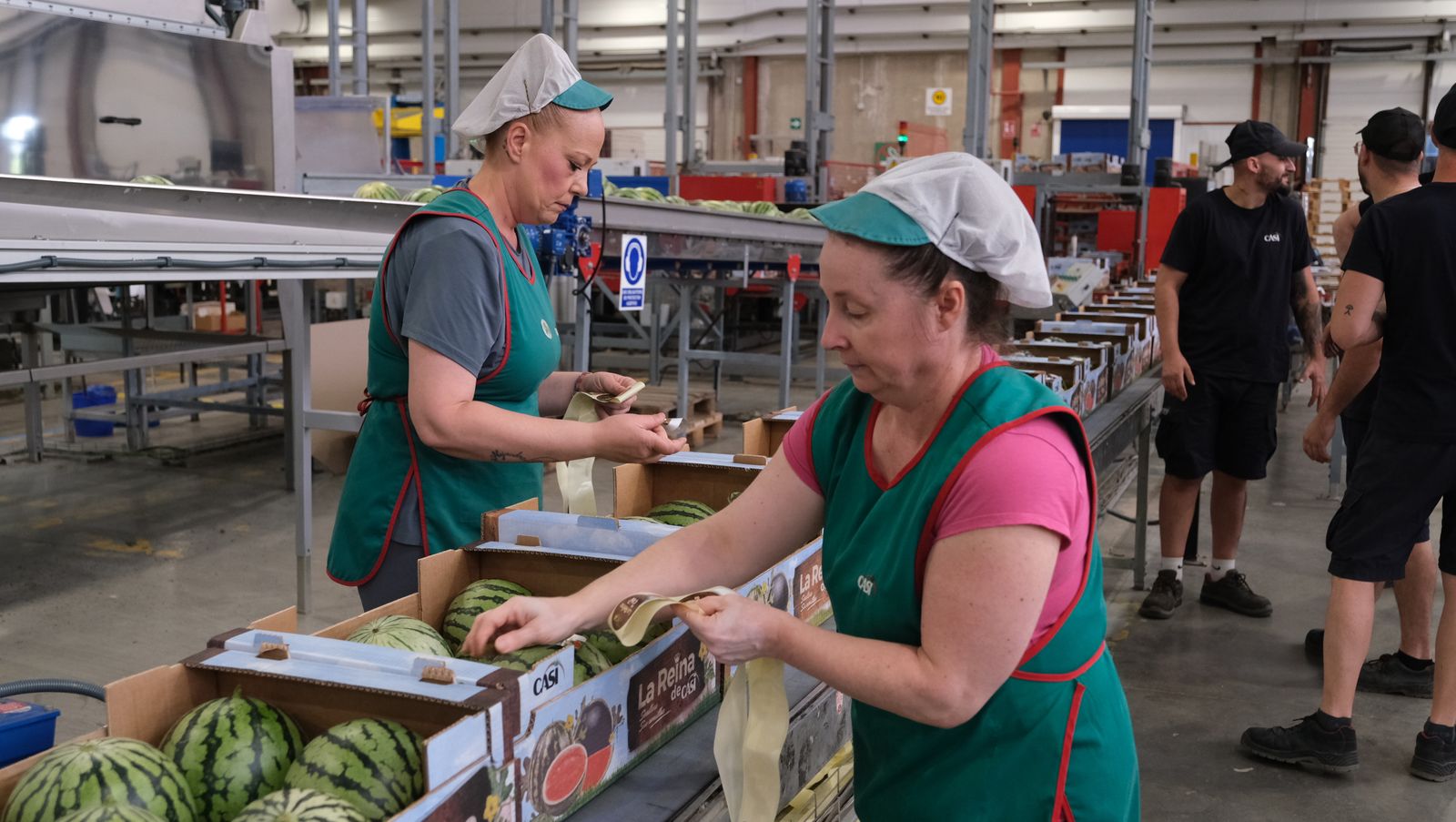 La IA llega a CASI, en imágenes