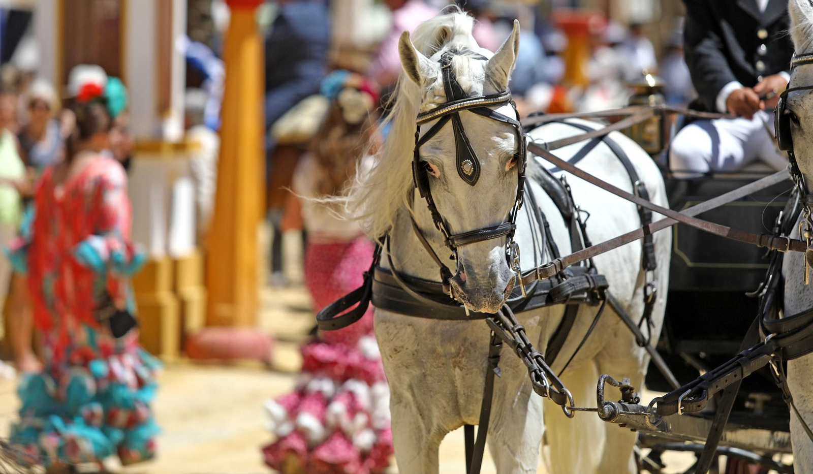 Imágenes del domingo de Feria