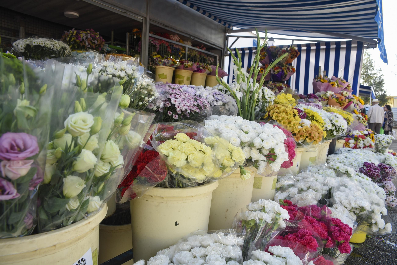 Fotos del Día de Todos los Santos en La Línea