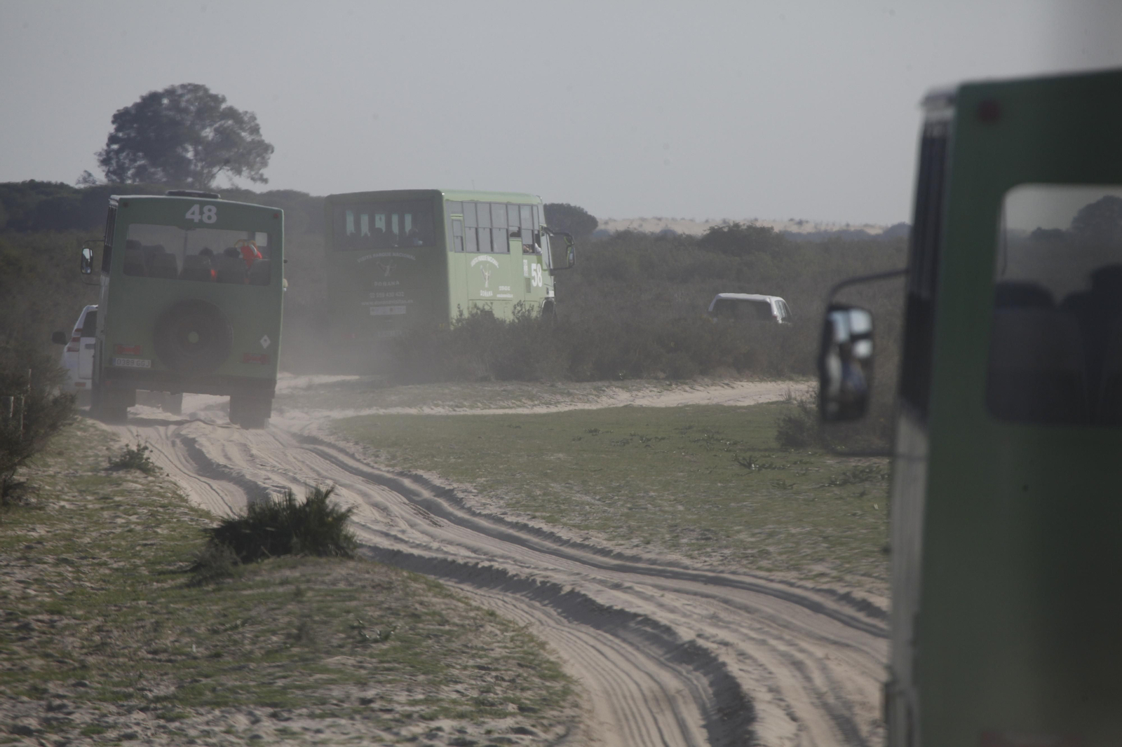 Imágenes de Don Felipe y Doña Letizia en su visita a Doñana