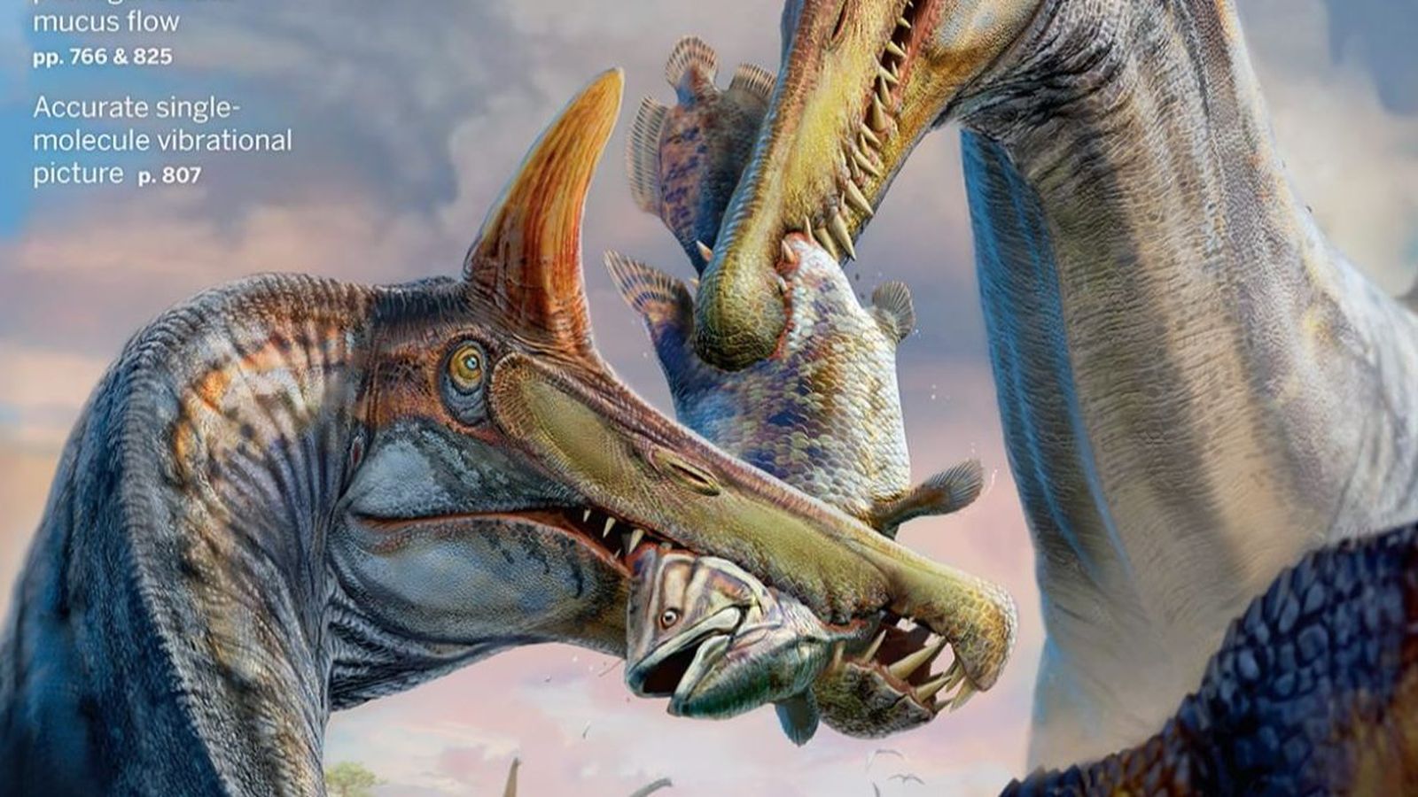 Publicación revista Science sobre el descubrimiento de un cráneo de Spinosaurus mirabilis en Níger