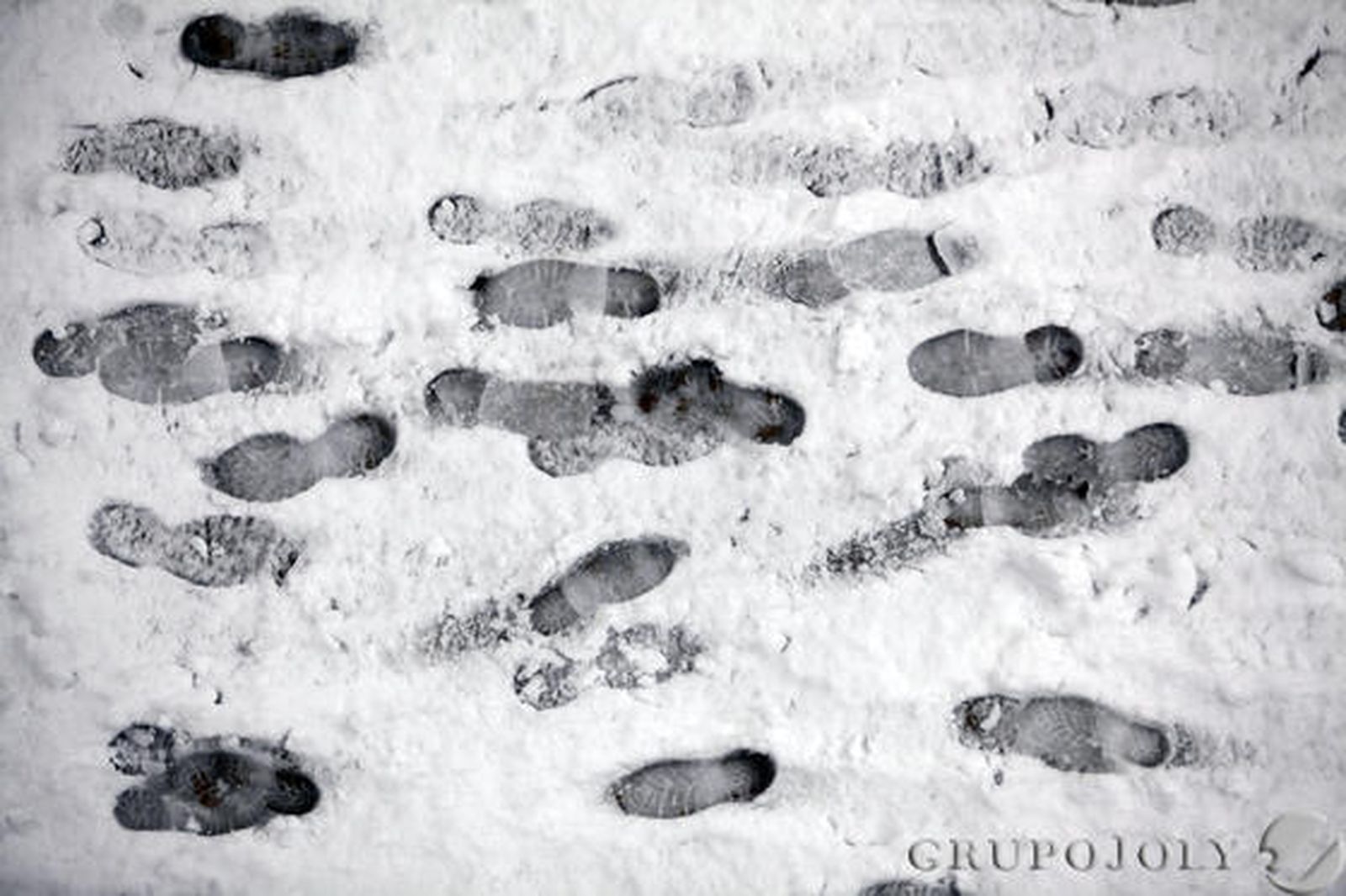 La nieve blanqueó la ciudad en la festividad del 28-F y provocó hasta 200 incidencias.

Foto: Lucia Rivas