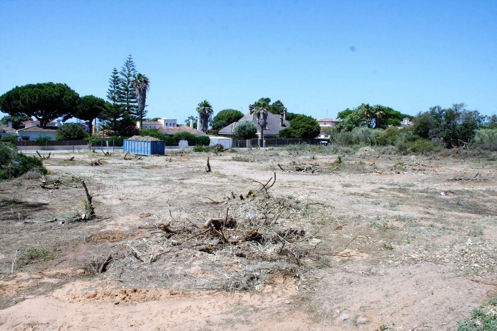 Una imagen reciente del desbroce del terreno para construir el nuevo campo de fútbol de El Águila.