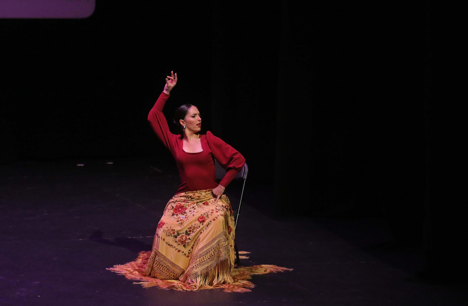 Fotos del espectáculo  'Esencia de Pasión' en La Línea