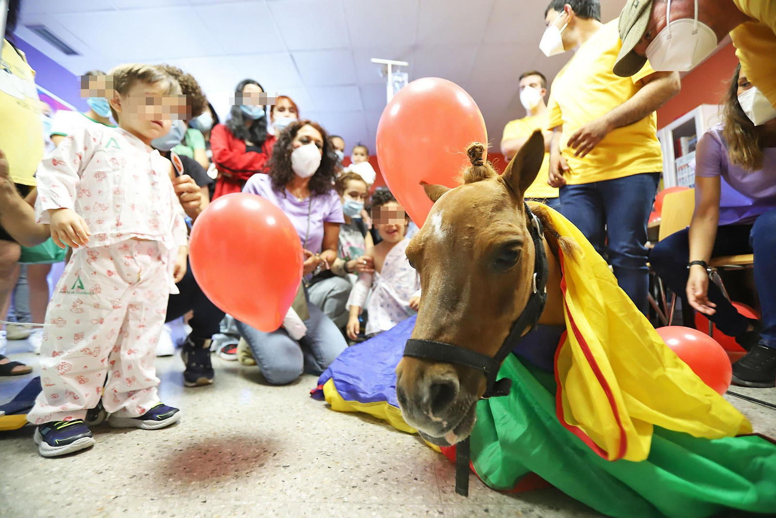 Los niños hospitalizados en el Juan Ramón Jiménez reciben la inesperada visita de unos caballos