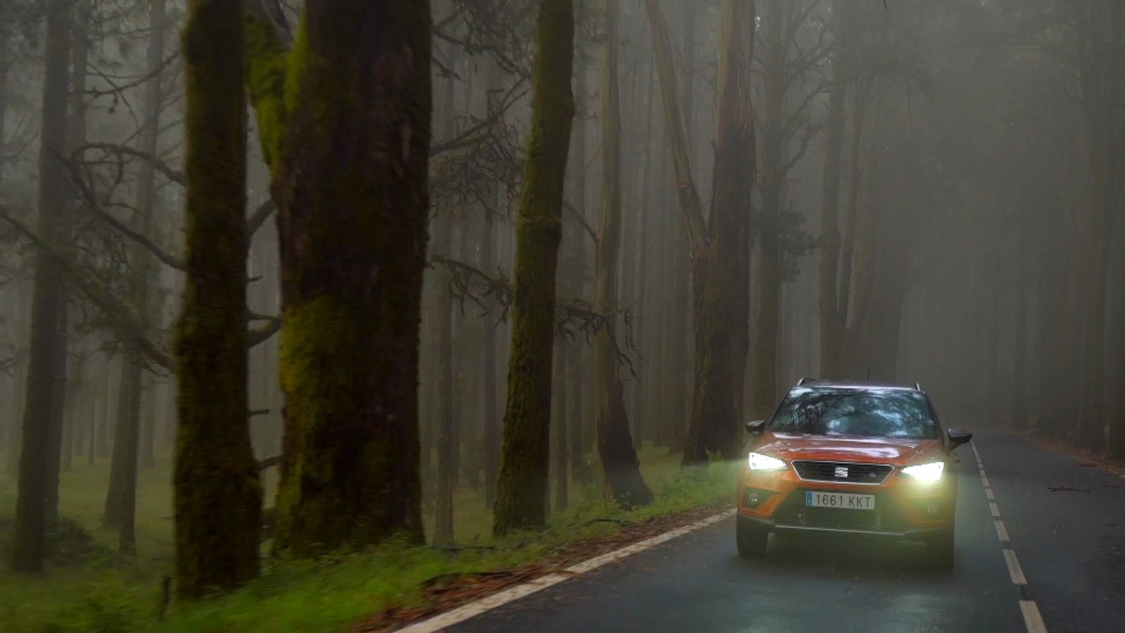 10 consejos para conducir seguros en otoño