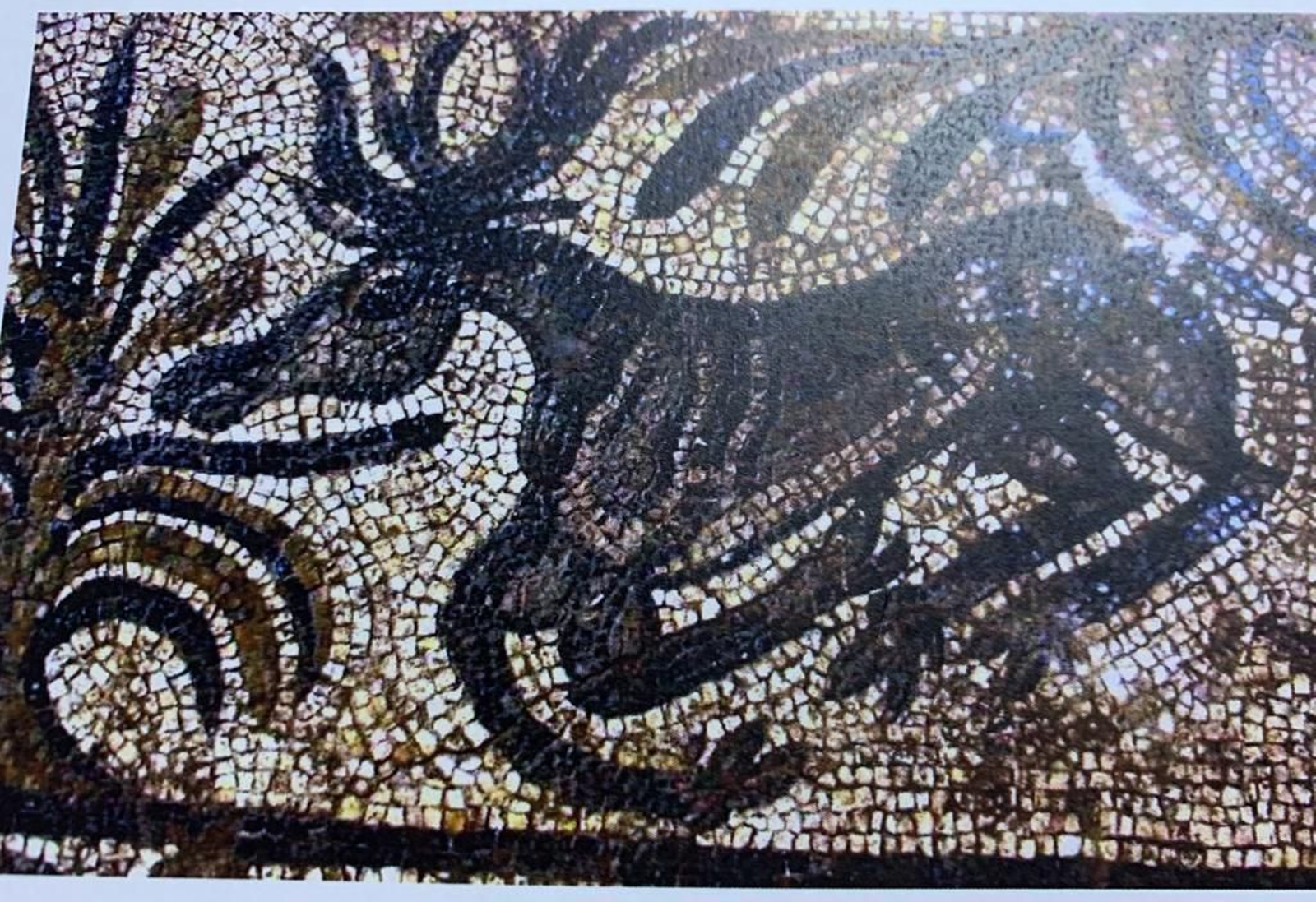 Uno de los mosaicos de la villa romana de El Arca, en Castro del Río.