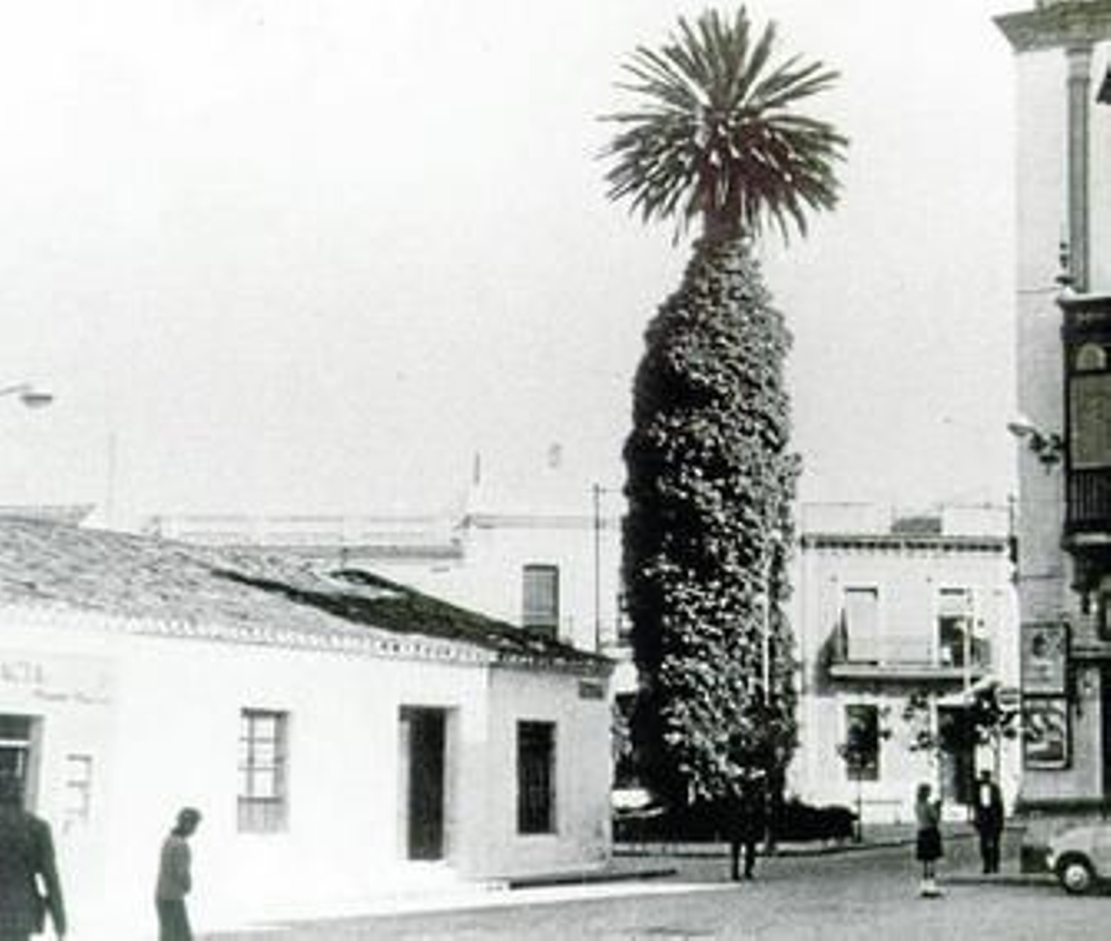 La Palmera y Las Tres Calles