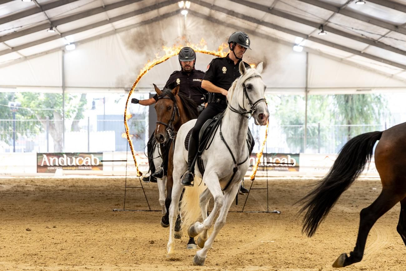 Anducab rinde homenaje a la unidad de caballería de la Policía Nacional