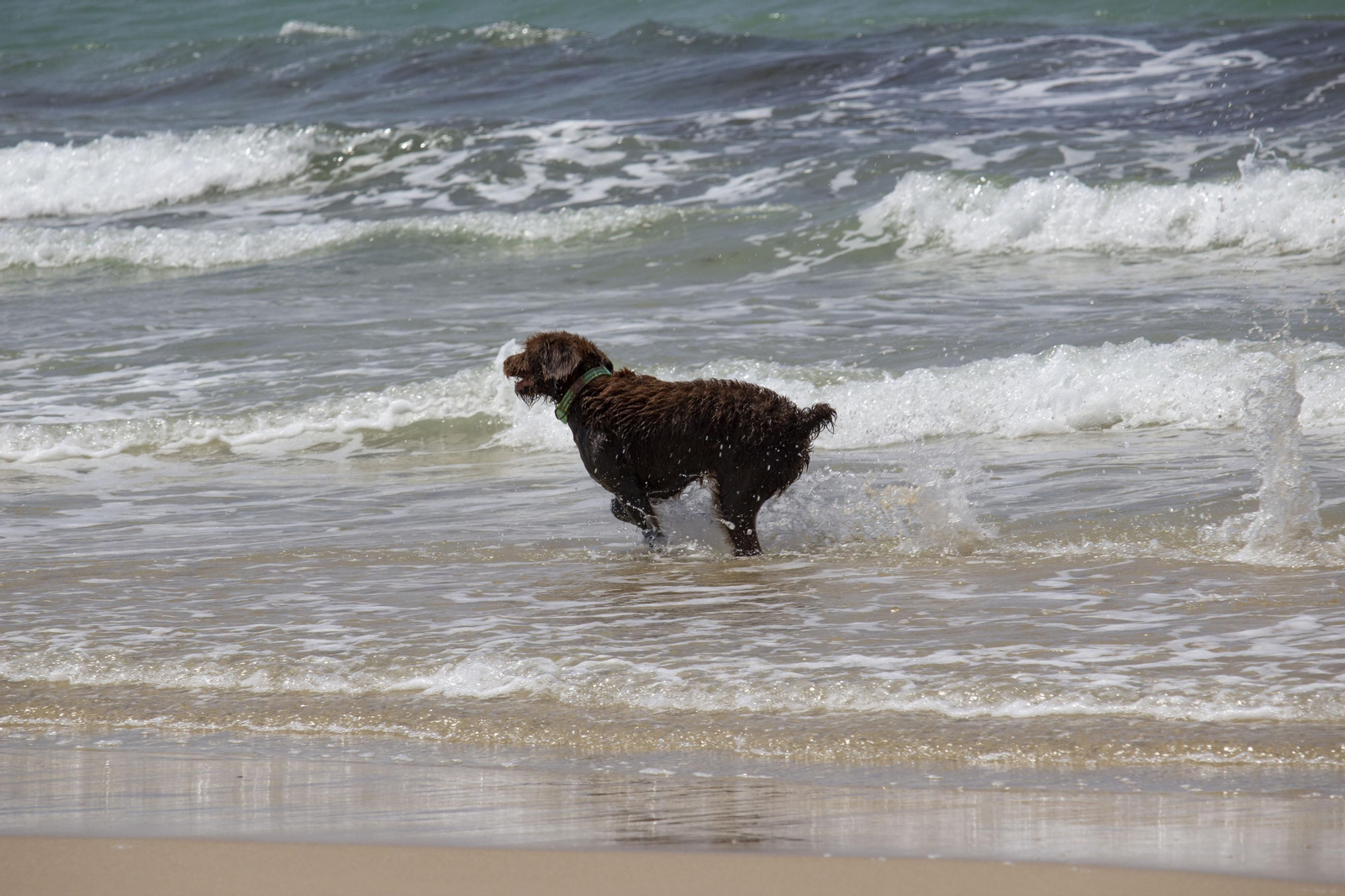 Un domingo de playa en Tarifa, en imágenes