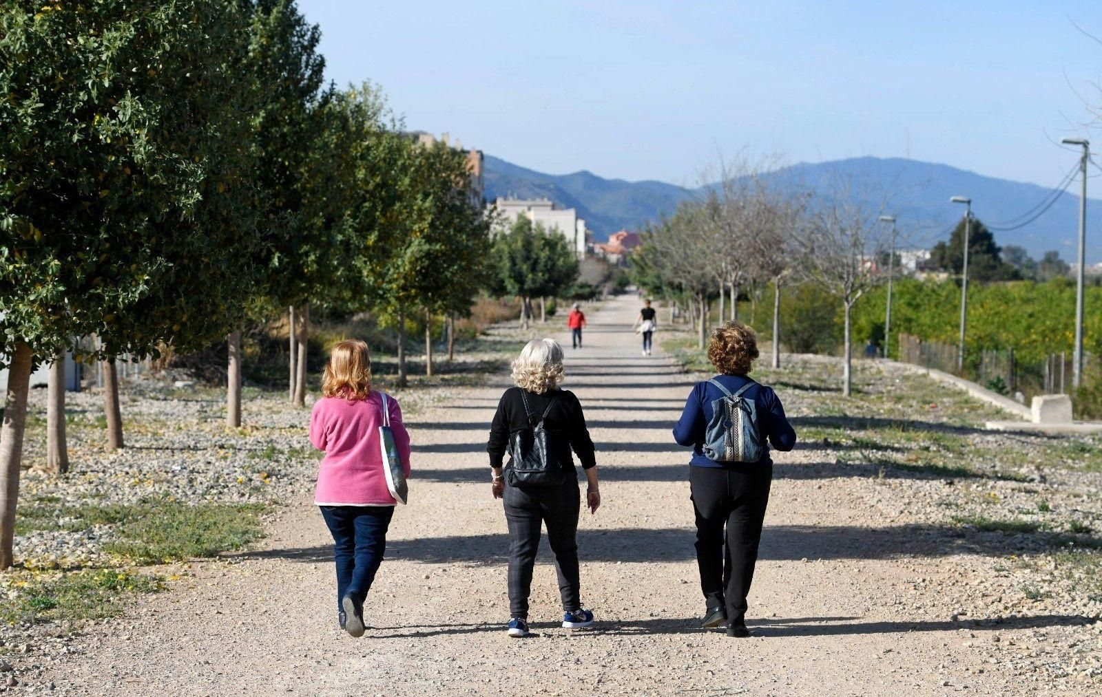 Dar 7.000 pasos diarios puede reducir los riesgos de enfermedades crónicas, según estudio.