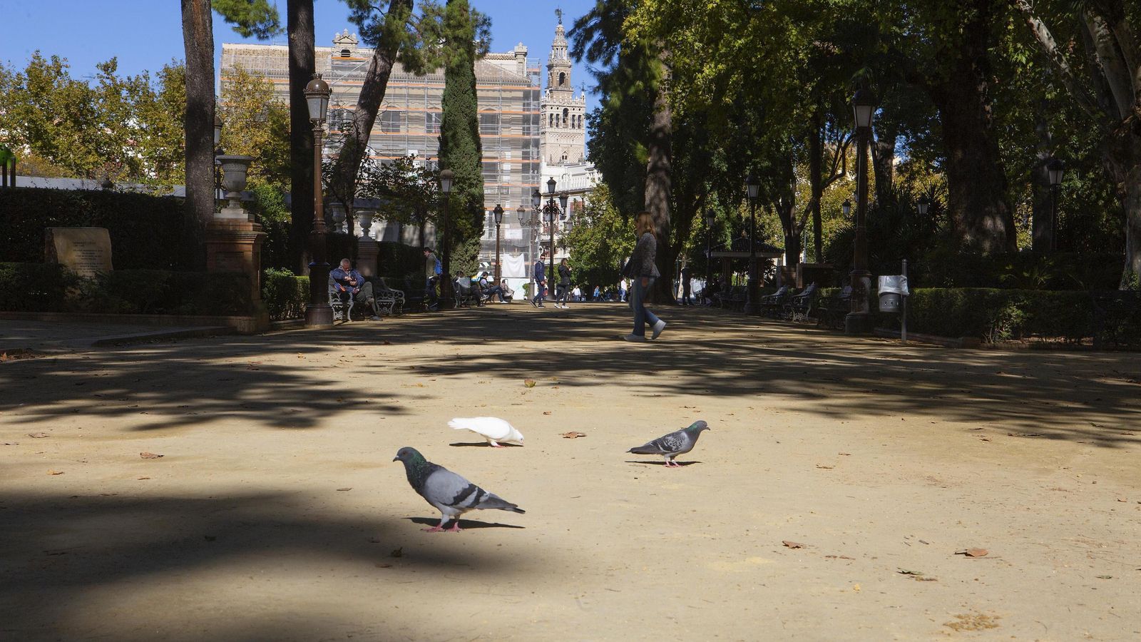 El camino principal de los Jardines de Cristina.