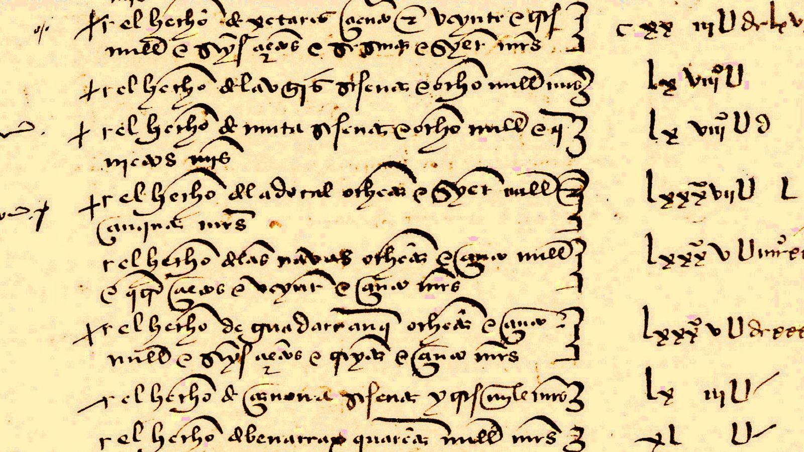 Folio 4º del informe de Fernando de Zafra sobre el repartimiento de Gibraltar en el que aparecen algunos de los “echos e campos” con los maravedíes que podían rendir.