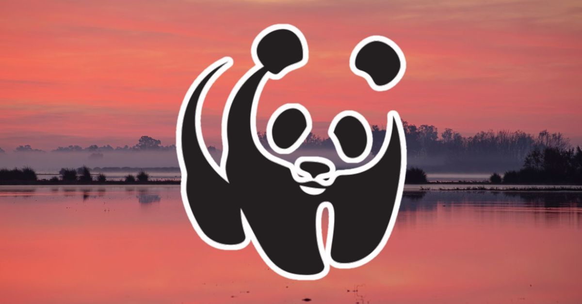 Wwf Inicios ¿Sabías que la famosa organización medioambiental mundial WWF nació en ...