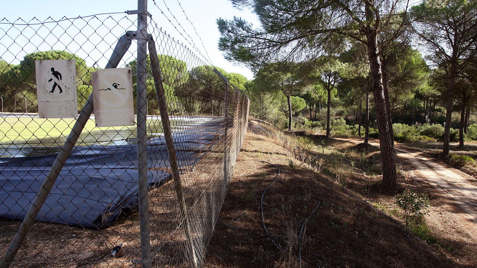 Terrenos donde está prevista la instalación del CEUS en Moguer.