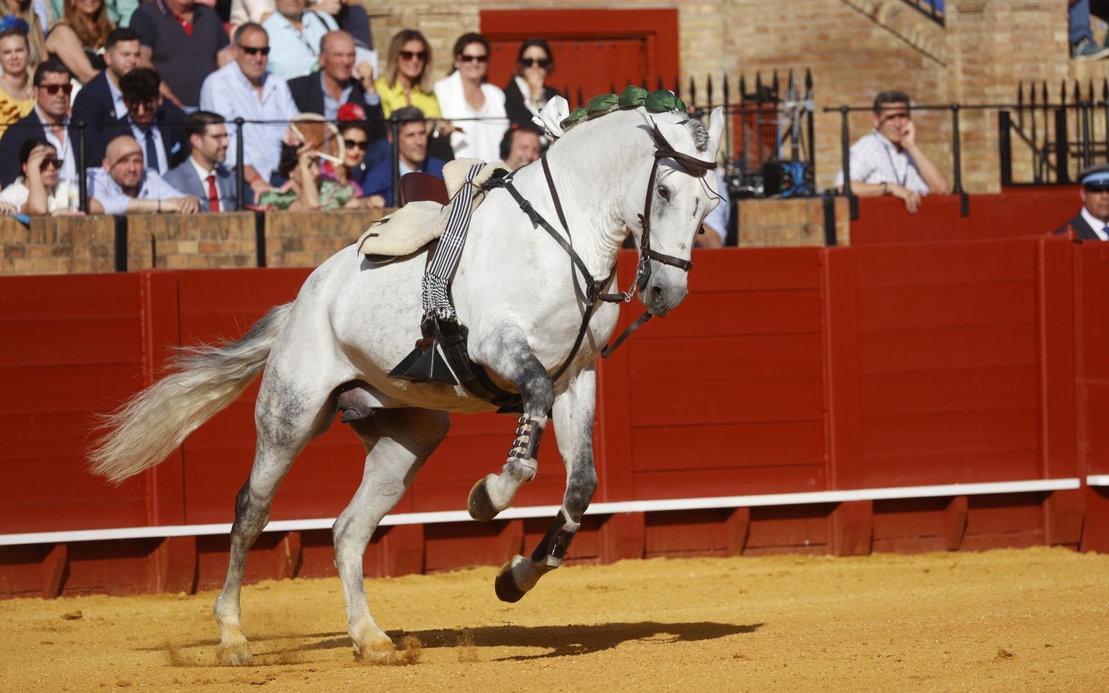 La corrida de rejones en imágenes