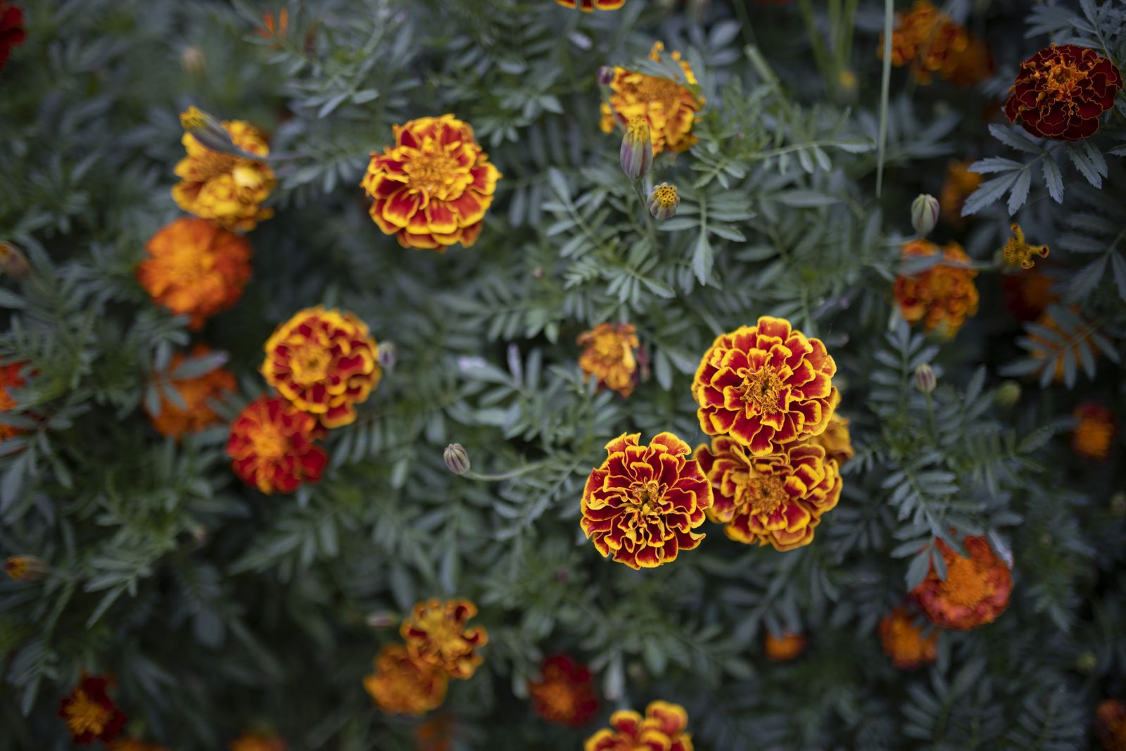Imágenes del jueves 1 de septiembre en Huelva