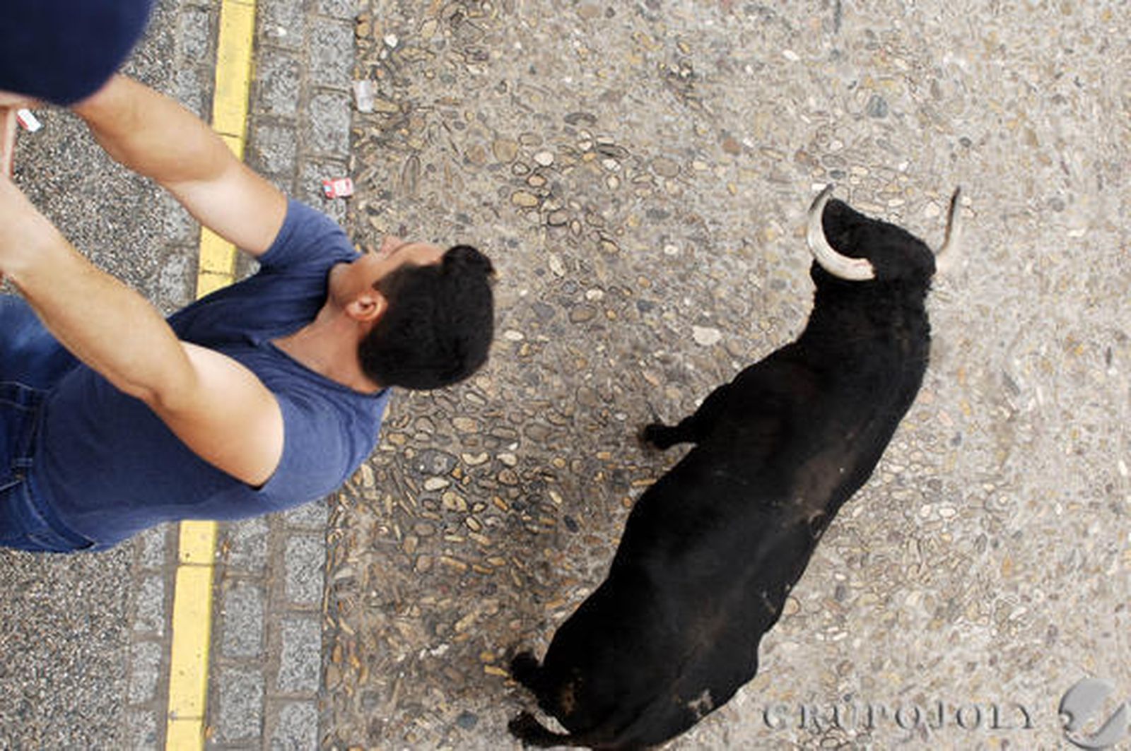 Un hombre resultó herido grave por una fuerte cornada en el abdomen en Arcos. Vejer, Paterna o Benamahoma también vivieron su fiesta

Foto: Ramon Aguilar