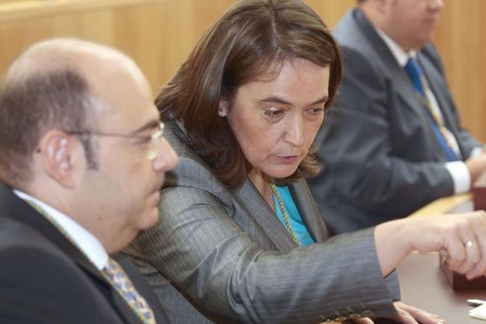 Sebastián Pérez es investido como nuevo presidente de la Diputación de Granada


Foto: Mar?de la Cruz