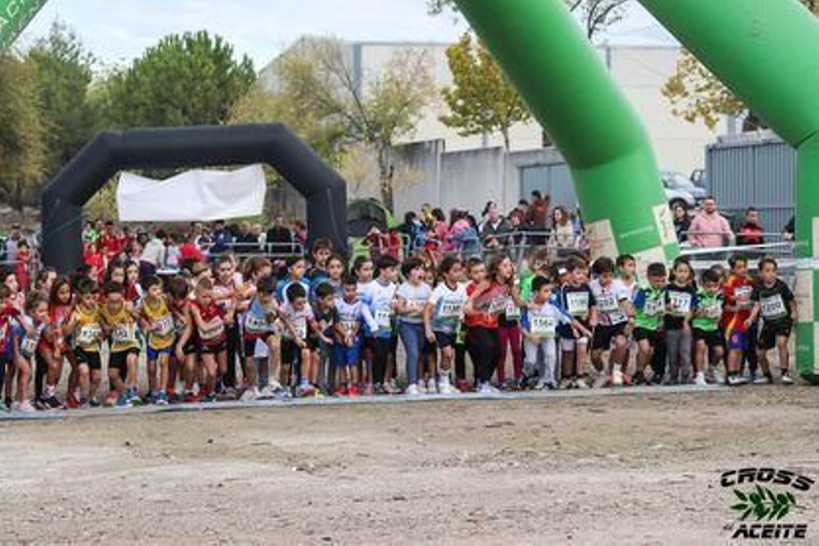 La emoción de la 39 edición de la Cross del Aceite de Torredonjimeno, en imágenes
