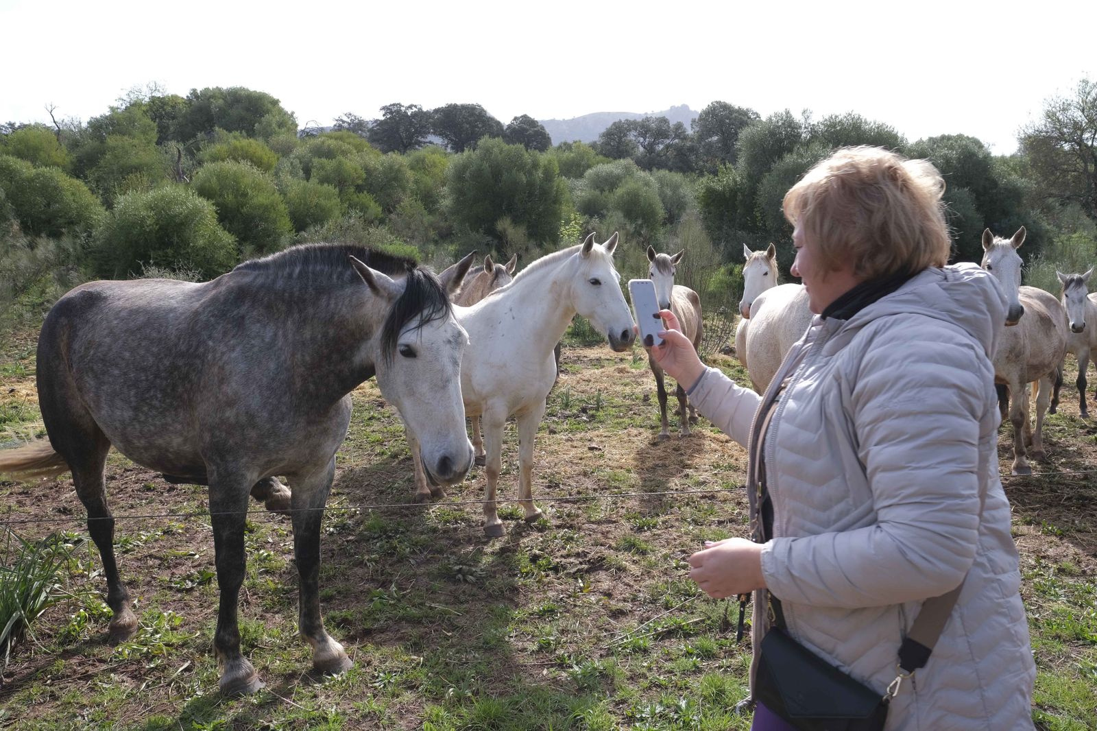 La Donaira, en fotos