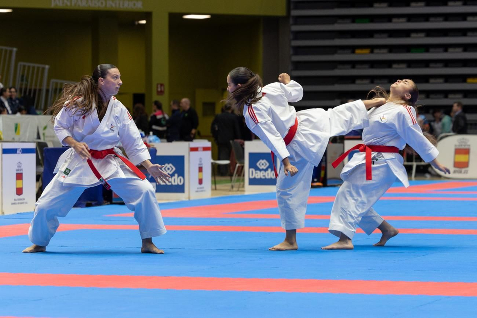 Campeonato de España de Kárate cadete, júnior y sub 21 brilla en Jaén