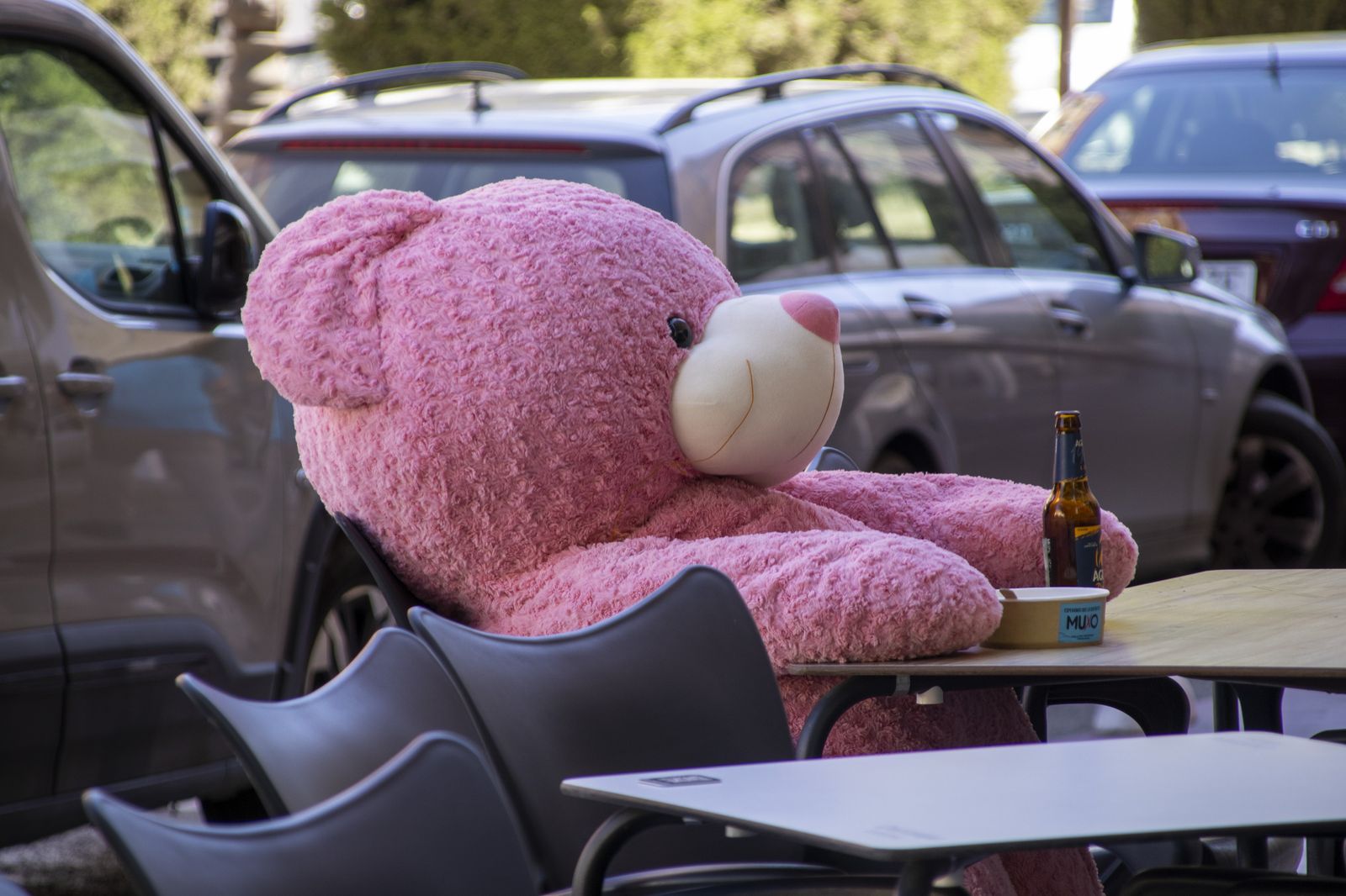 Imágenes del Lunes 15 de Mayo