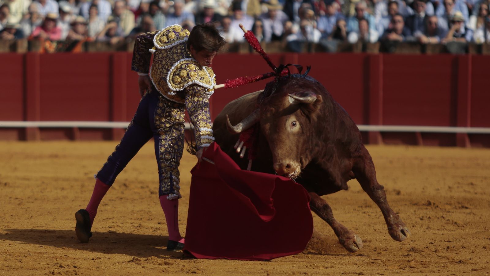 las mejores imágenes de la feria taurina de Sevilla
