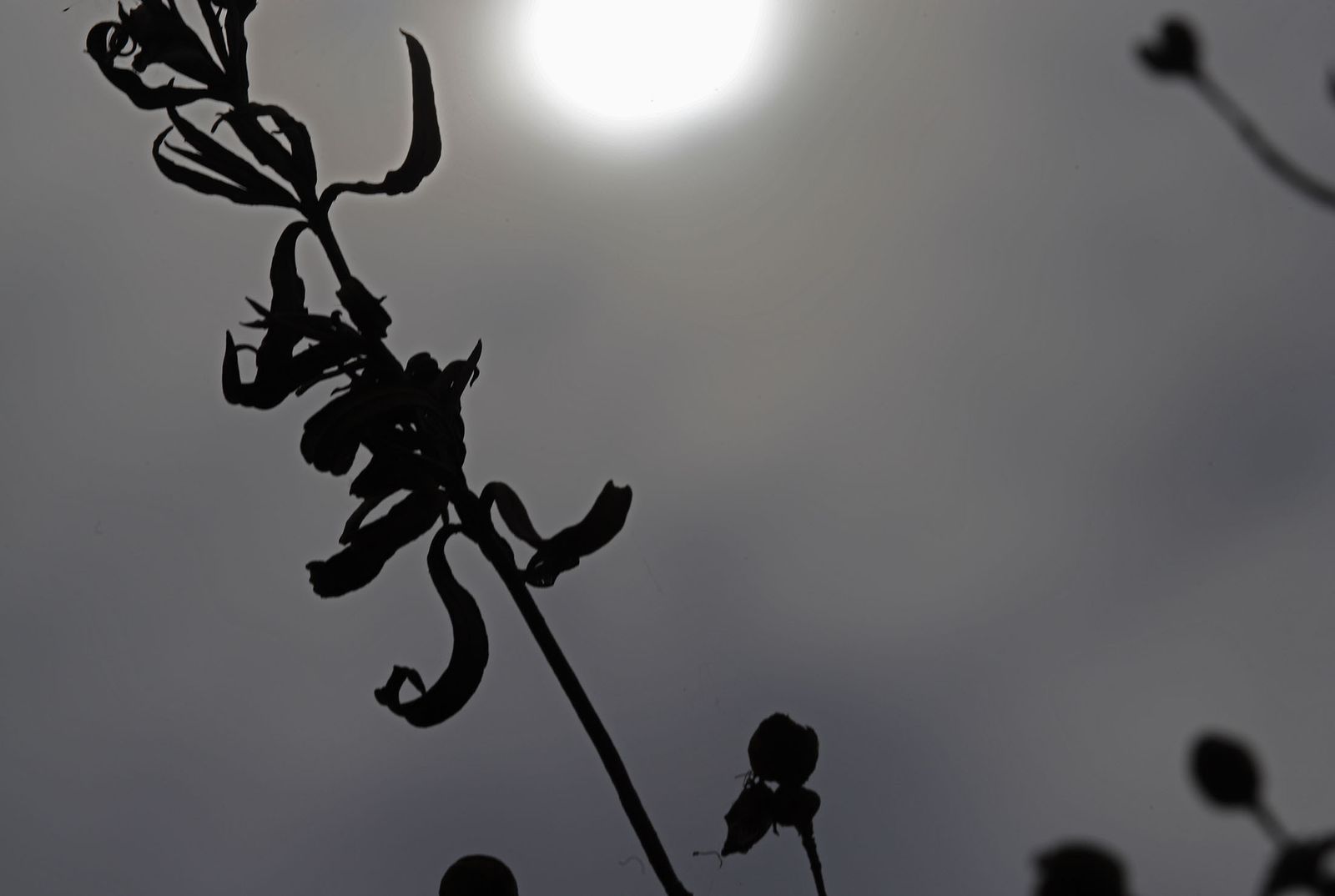 Paraje natural Marismas del Odiel, paraíso de Huelva entre salinas