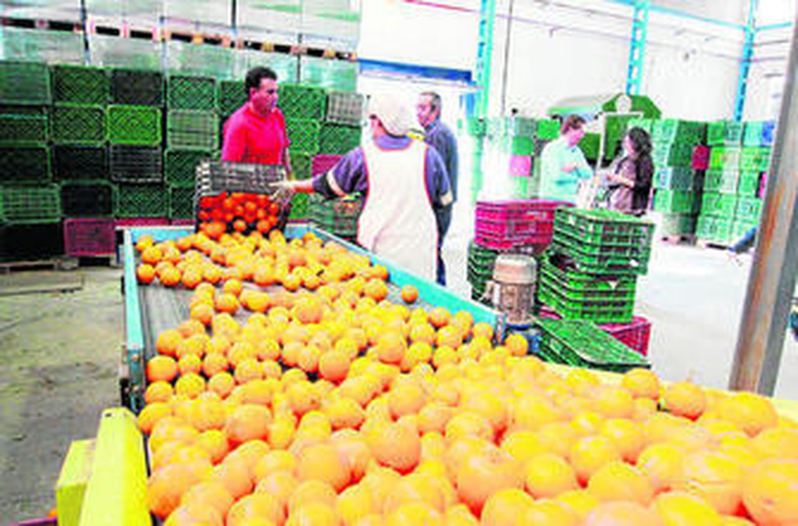 El zumo de naranja es el más exportado y Córdoba lidera las ventas.