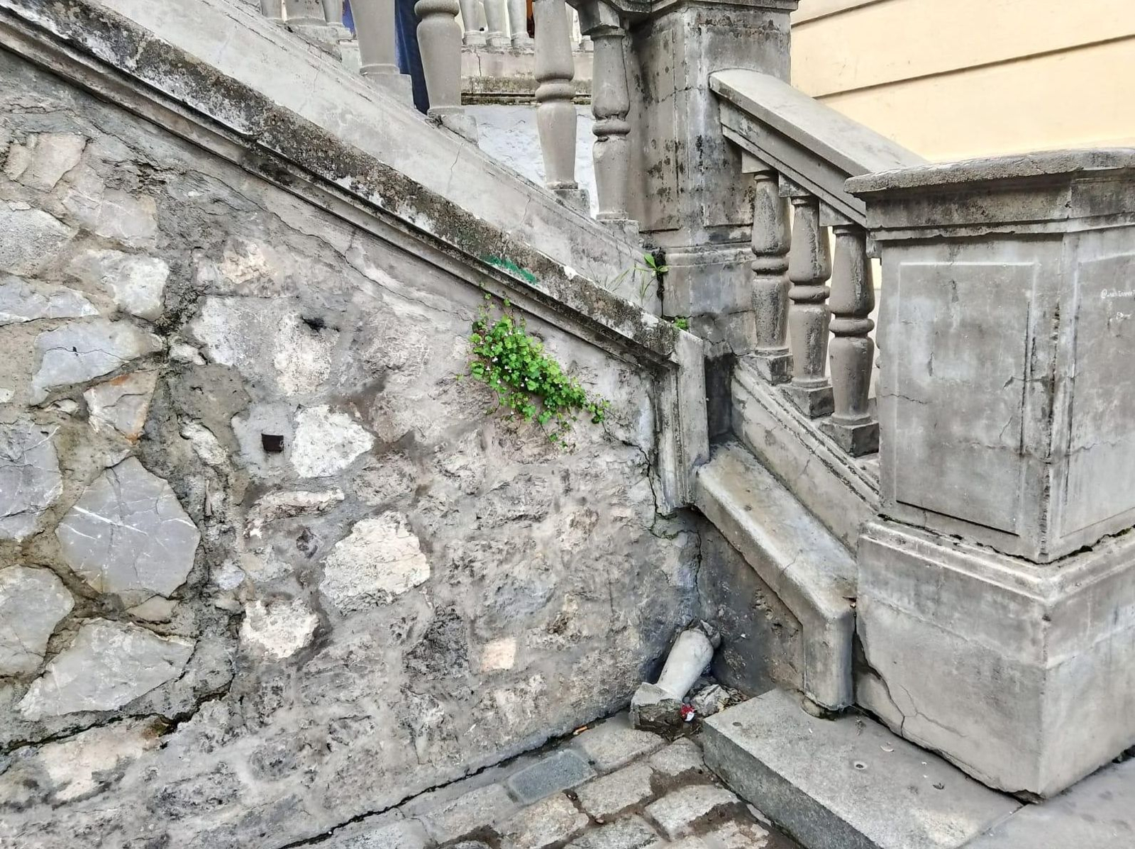 Otra imagen del mal estado de este espacio.