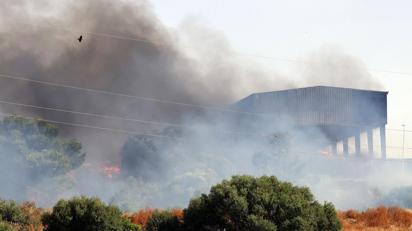Imágenes del incendio en la planta de Las Calandrias en Jerez