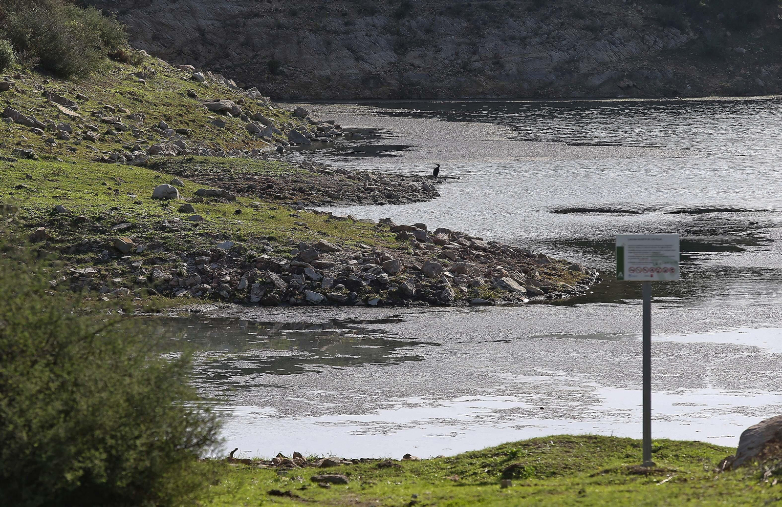 Imágenes del acuífero de la Huerta de Las Pilas en Algeciras