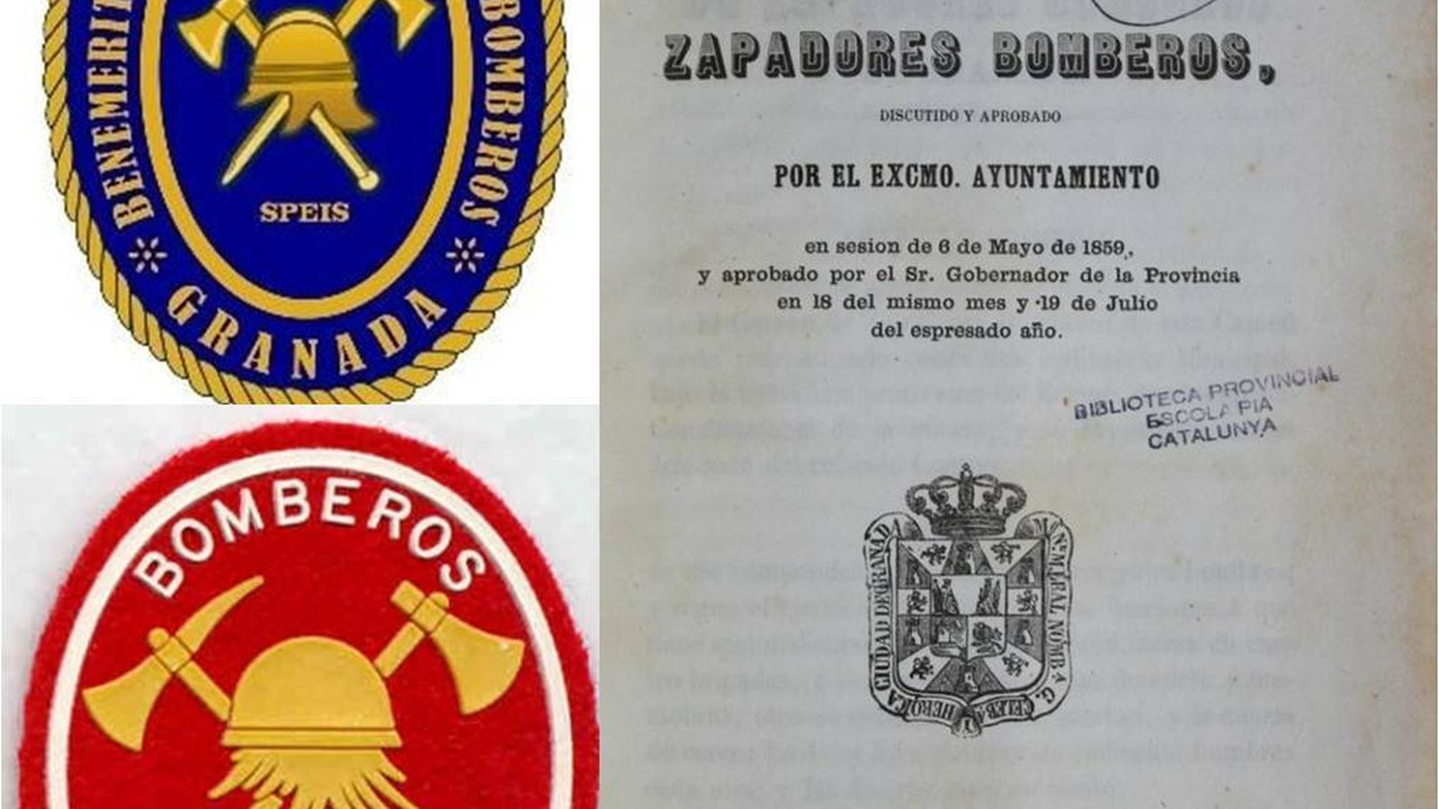 Escudos y reglamento