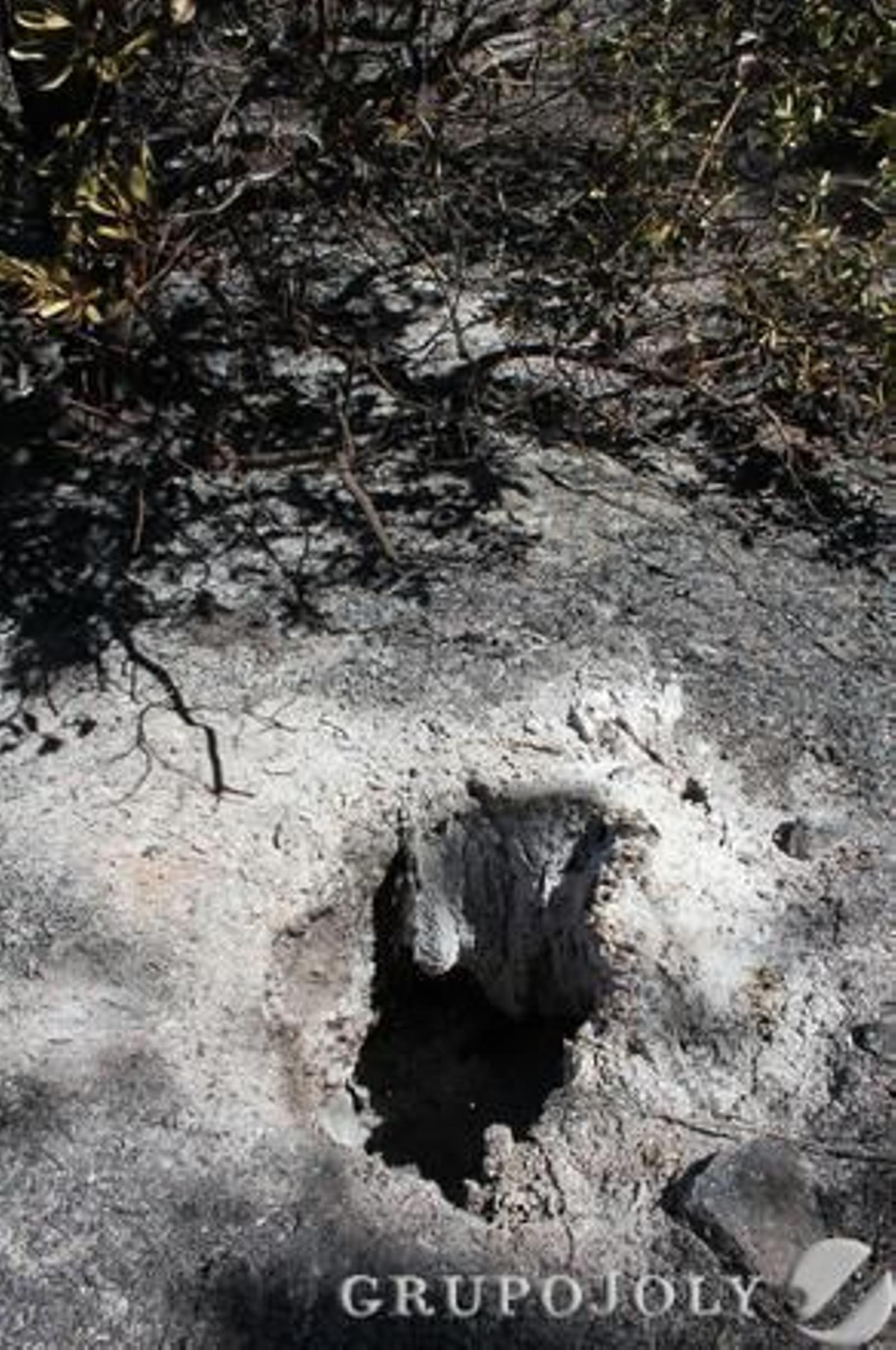 Foto: Alberto Domínguez