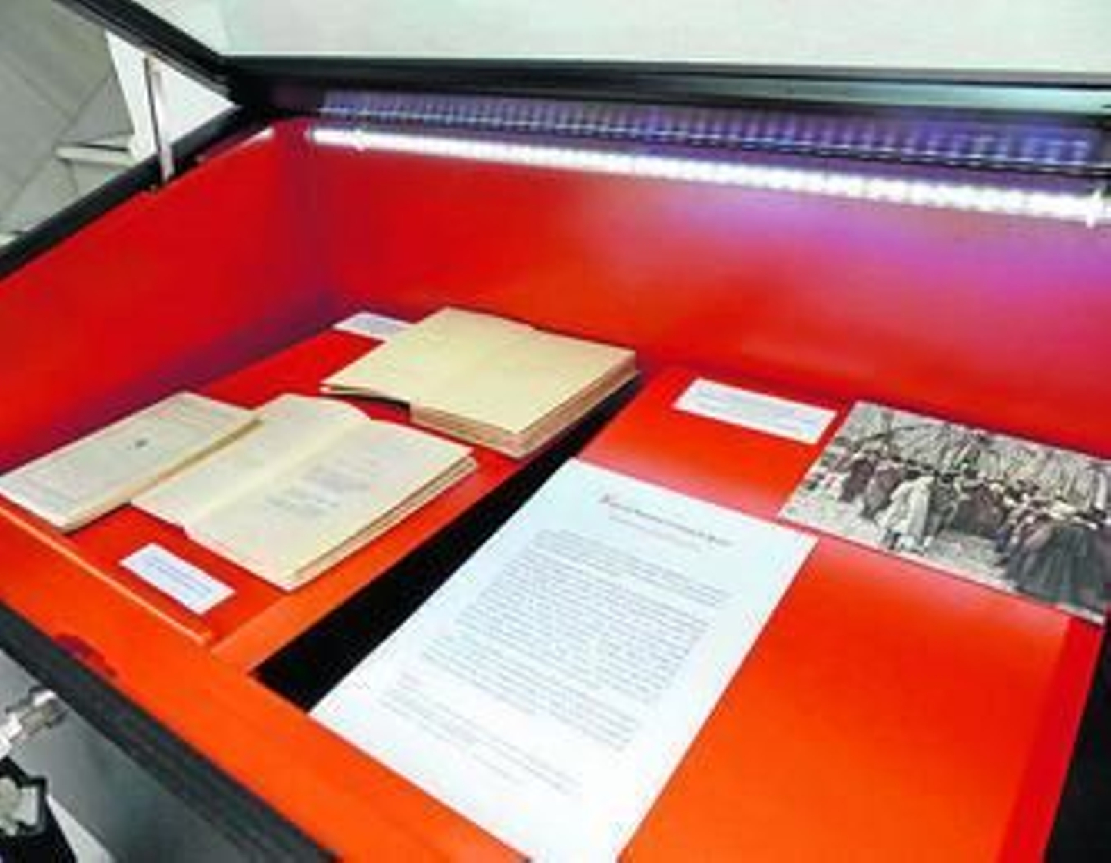 Documentos que conforman la Pieza del Mes de noviembre.