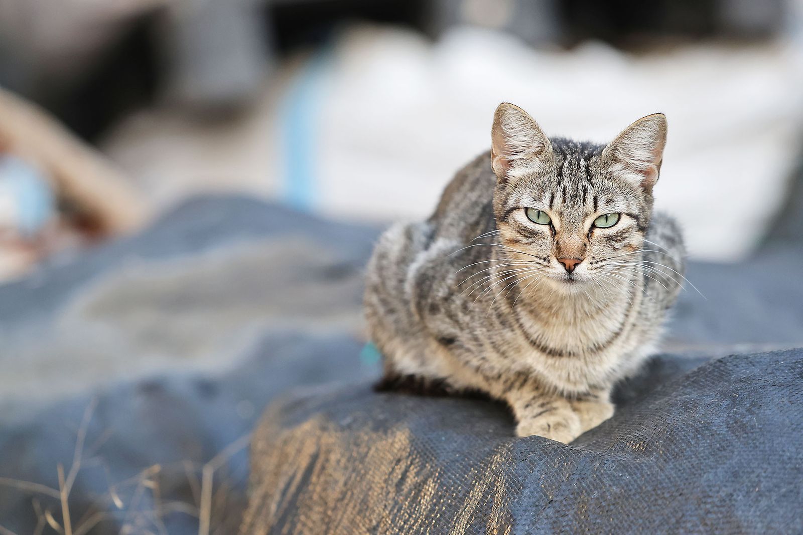 Las imágenes más destacadas del miércoles 9 de octubre en Huelva