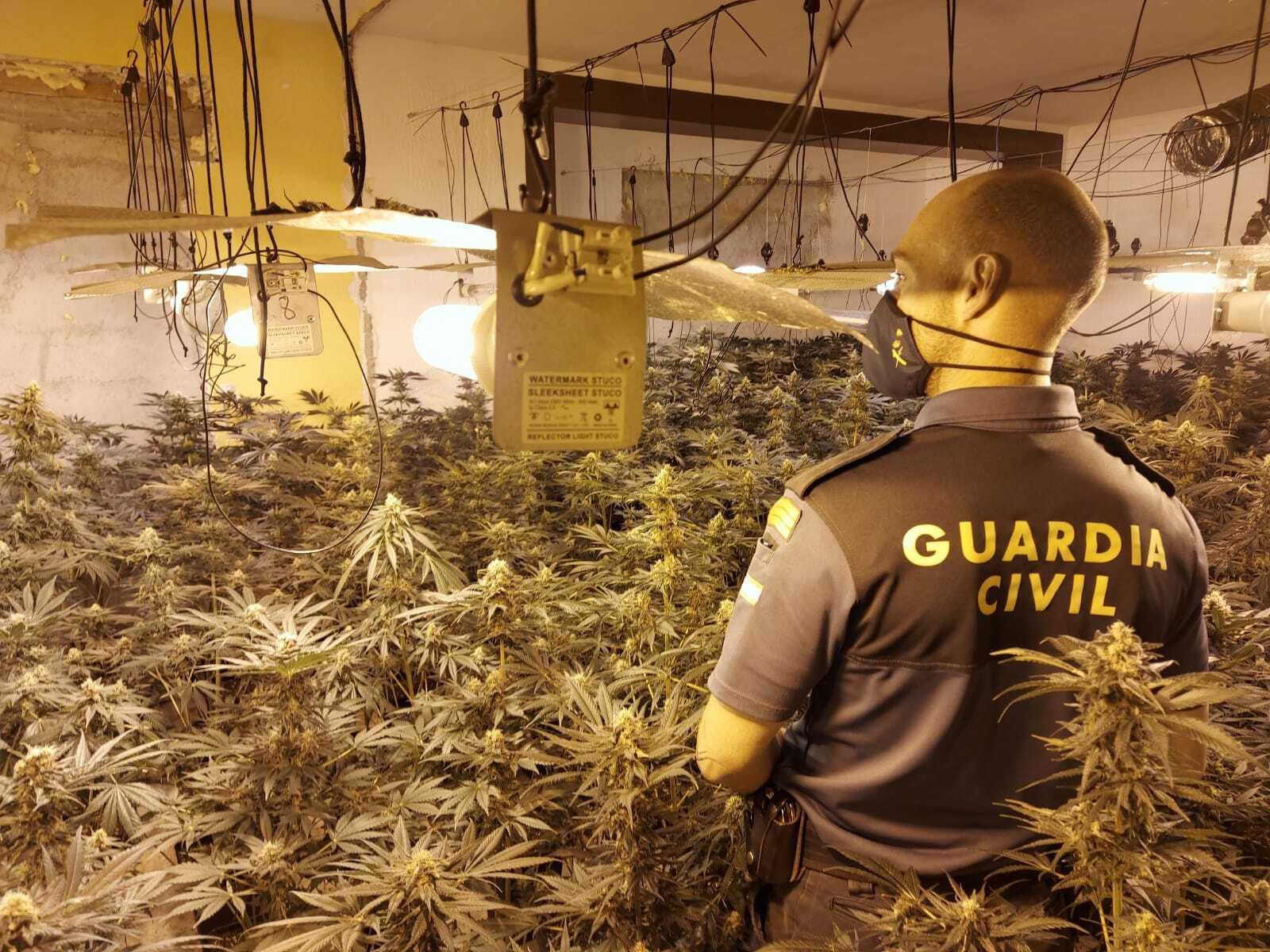 Desmantelados en pueblos de Granada siete centros de producción de marihuana