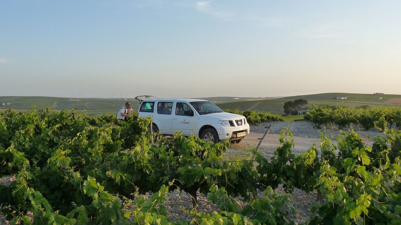 Tour en 4×4 por las viñas de Jerez