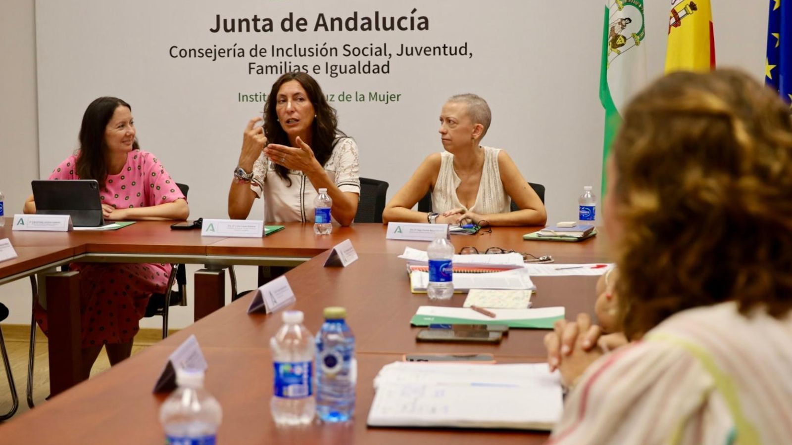 Reunión de la consejera Loles López, en el Insituto Andaluz de la Mujer