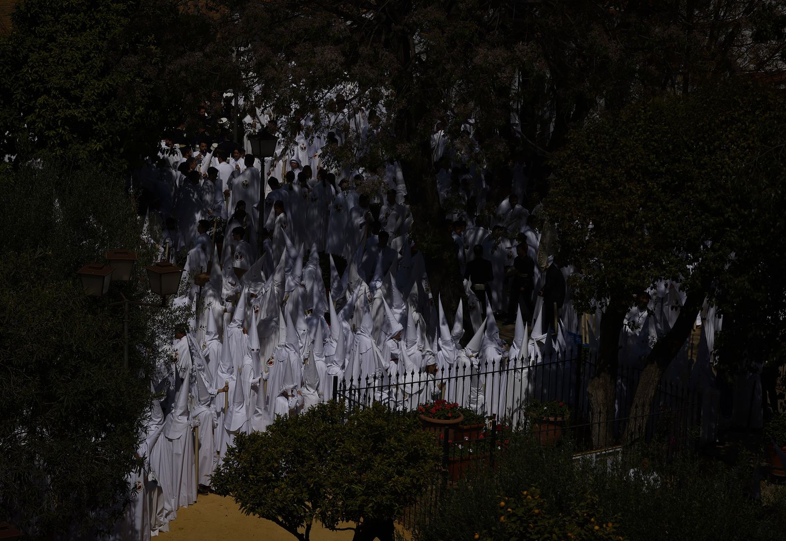 Fotos de La Paz el Domingo de Ramos en la Semana Santa de Sevilla