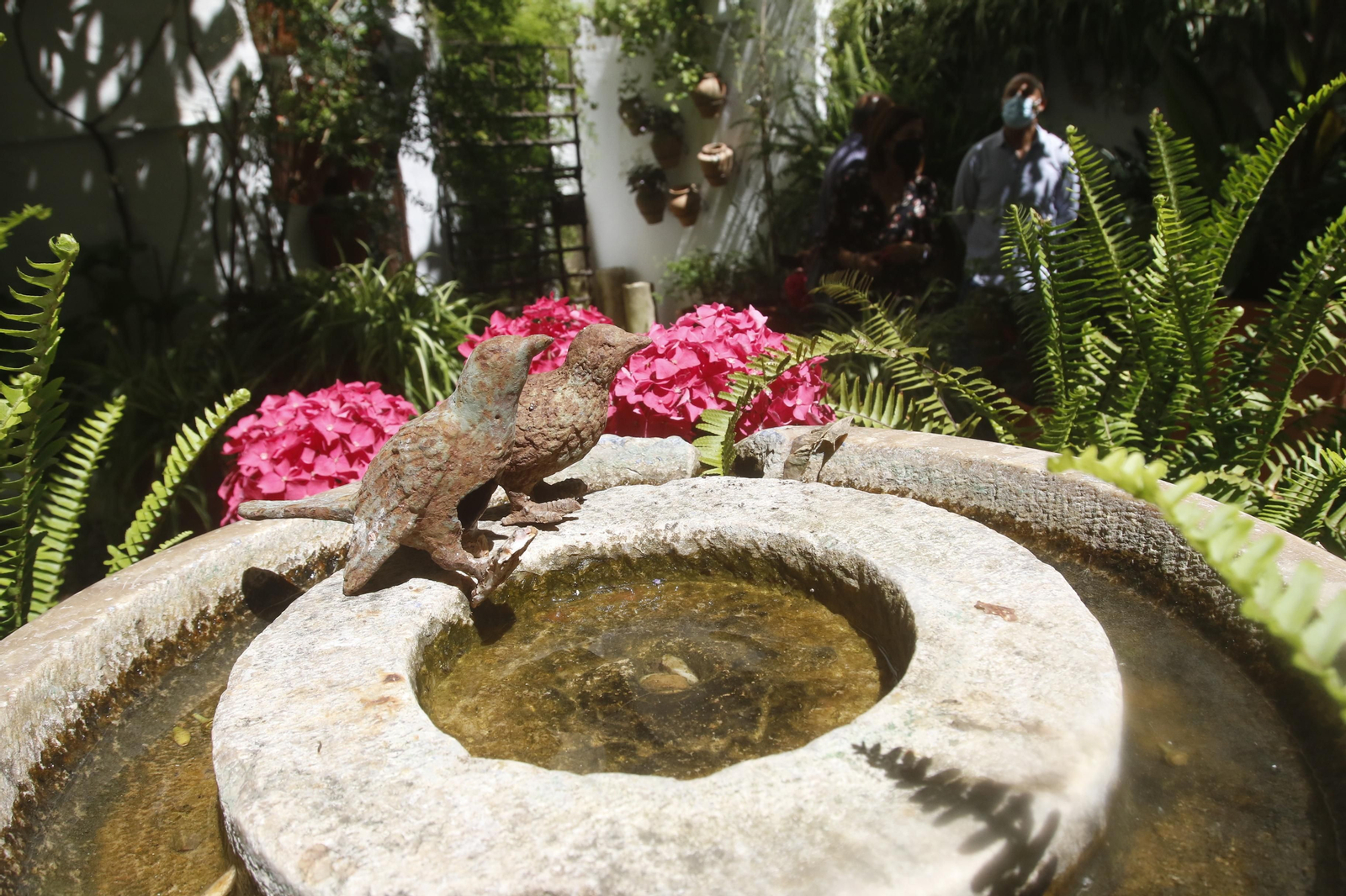 Ruta San Lorenzo de los Patios de Córdoba, en imágenes