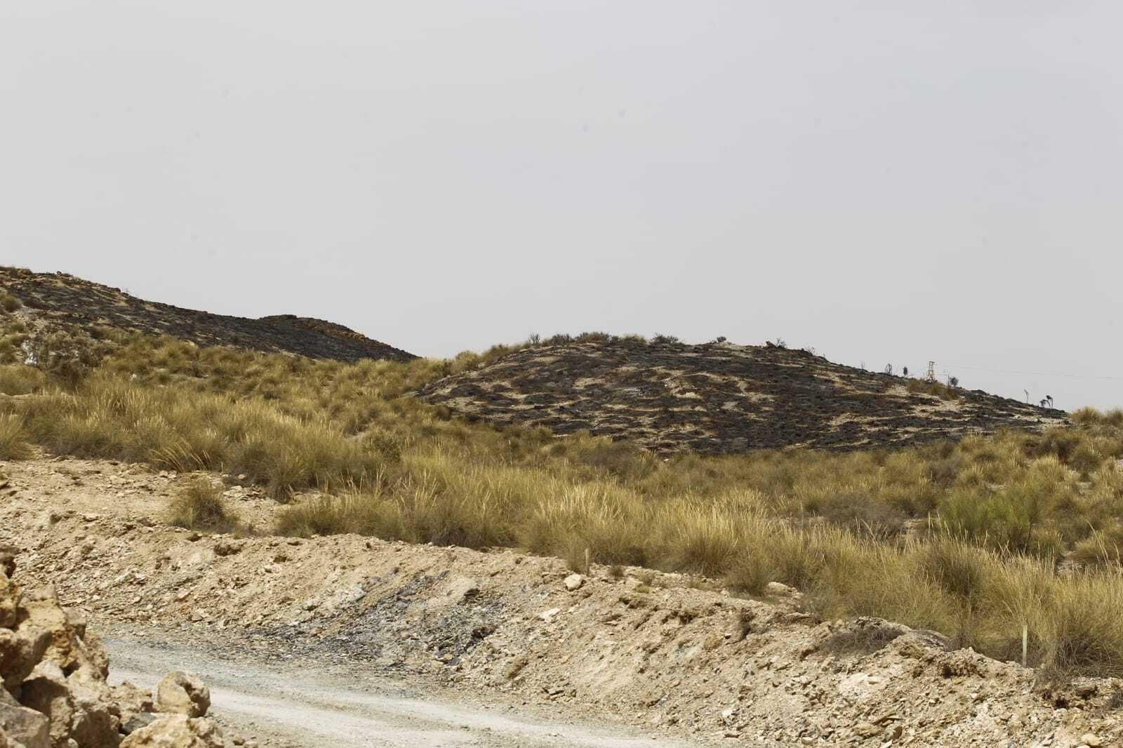 Imágenes del primer gran incendio en Almería a las puertas del verano