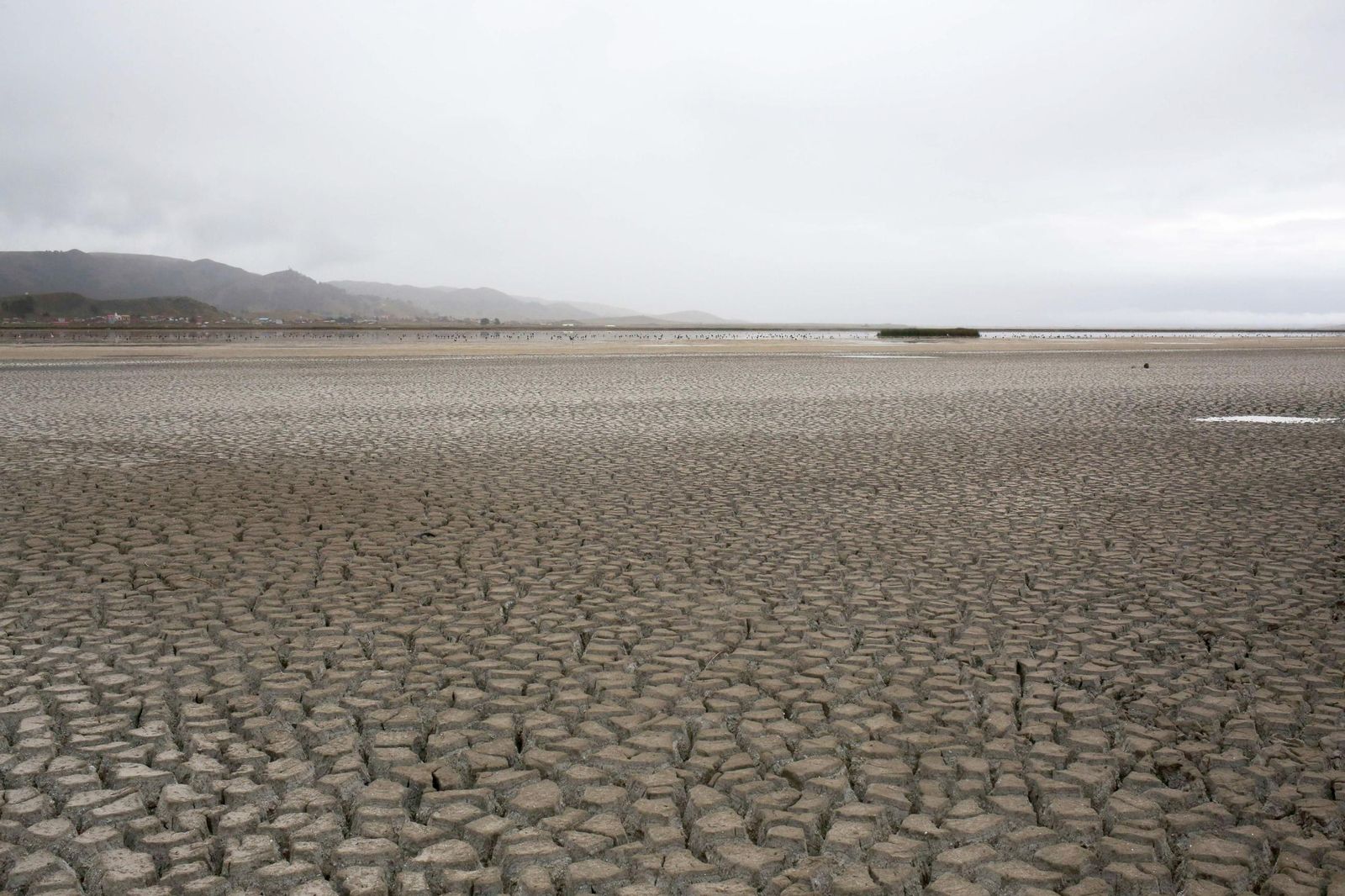 Imagen de archivo de un largo seco